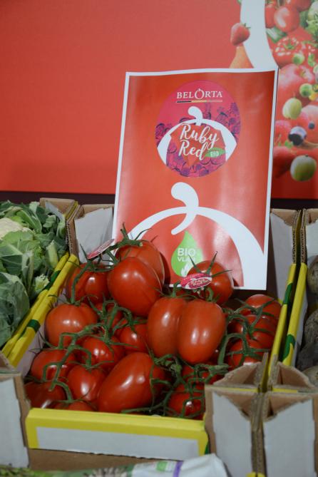 Biologische Ruby Red-tomaten, waarmee teler Koen Van Hauteghem van Vitaetom de BioVLAM 2024-award won.