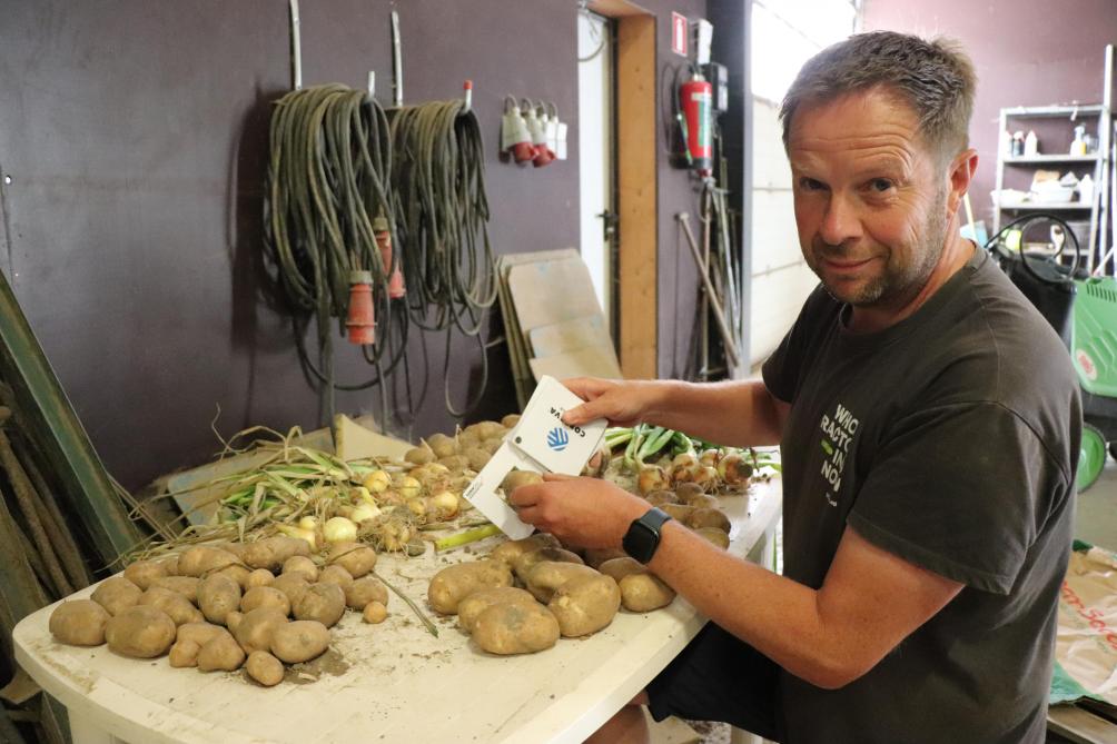 Harry houdt zijn gewassen nauwlettend in de gaten. Hij neemt op diverse momenten een steekproef. Hij checkt dan de gezondheid en het formaat van de aardappelen en de uien.