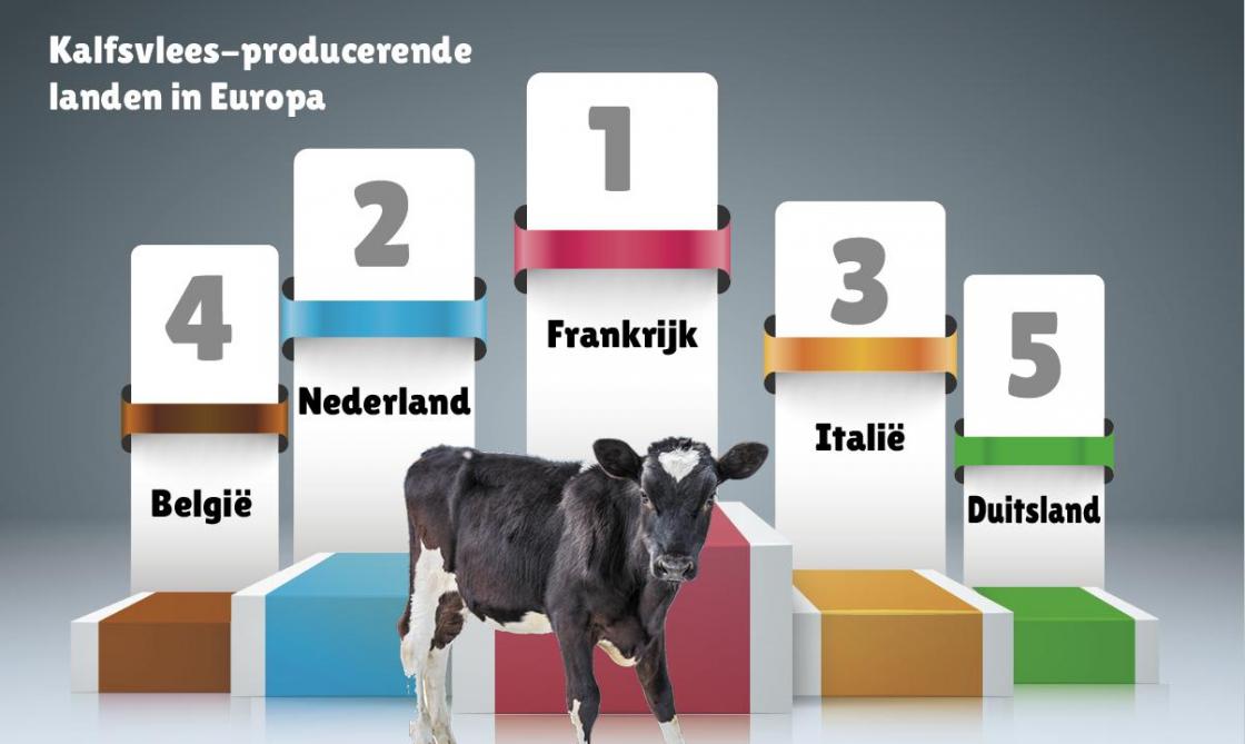 Top 5 van de kalfsvleesproducerende landen in Europa.