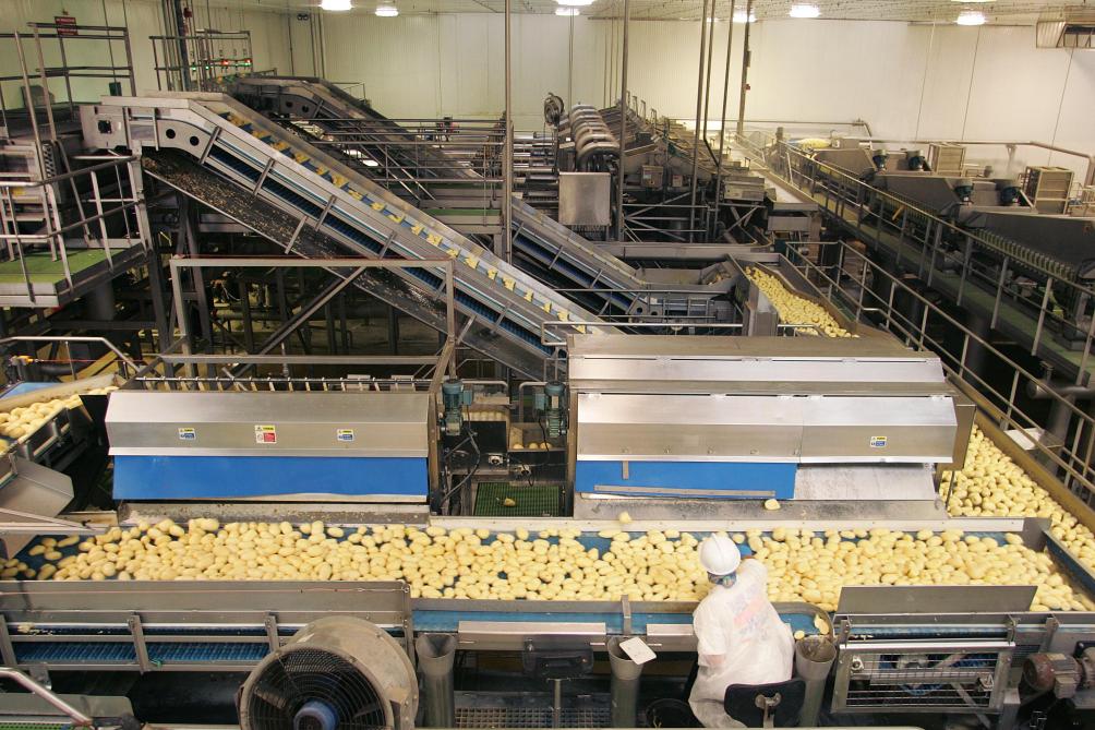 Artificiële intelligentie in aardappelfabrieken kan de aardappelteelt verder verduurzamen.