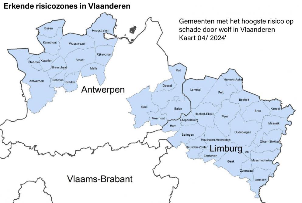 Kaart met risicozones voor de wolf in Vlaanderen (april 2024)