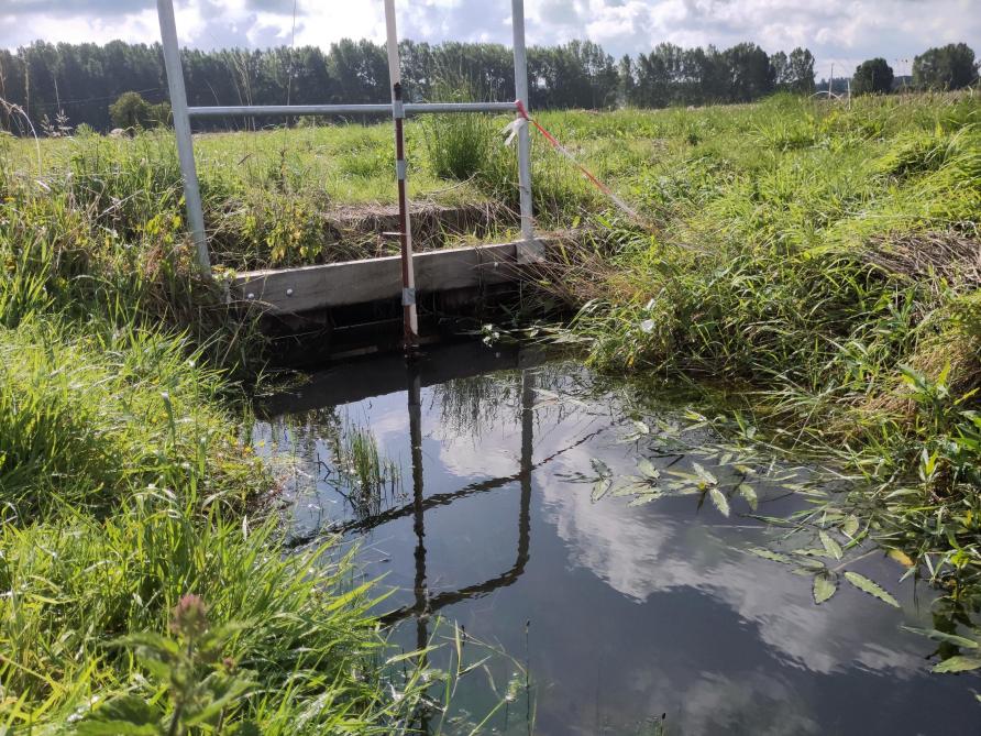 Het ILVO voert ook onderzoek rond kleinschalige maatregelen om het water langzaam te laten infiltreren en vast te houden, zoals stuwen (zie foto), peilgestuurde drainage en agroforestry.