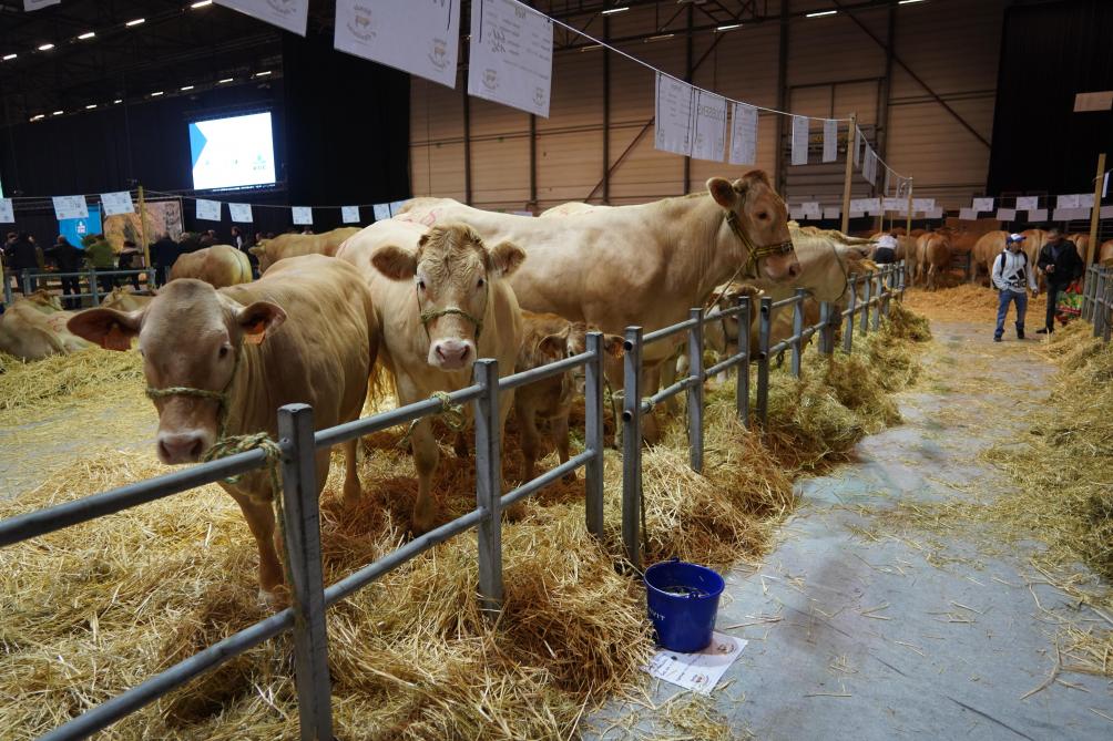 Om de bioveiligheid te garanderen zal de afstand tussen dieren en met bezoekers vergroten.