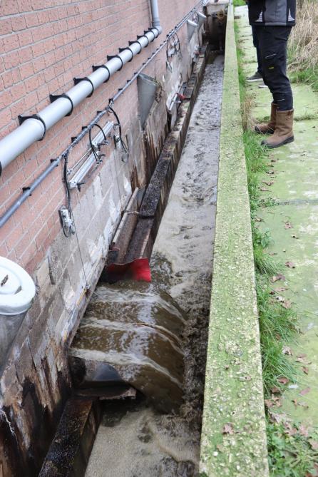 De smalle goot naast de stal is in het kader van het onderzoek naar de reductie van het systeem momenteel nog open, maar zal op termijn afgedekt worden.