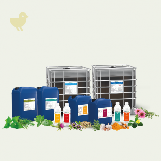 Herbavita heeft een uitgebreid assortiment voor pluimvee.