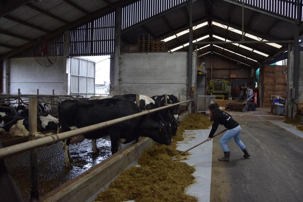 Van zodra ze kan, helpt Lindsay op het bedrijf van haar man.