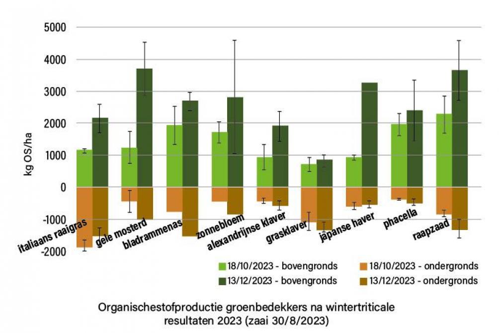 Figuur 1: Organischestofproductie groenbedekkers na wintertriticale resultaten 2023 (zaai 30/08/2023).