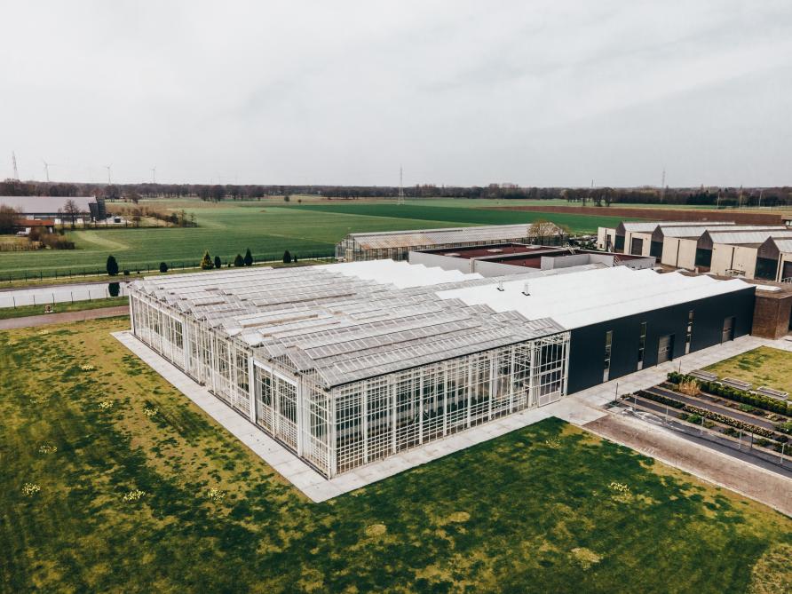 In de serres van Campus Geel werkt Thomas More-hogeschool ook samen met landbouwers.
