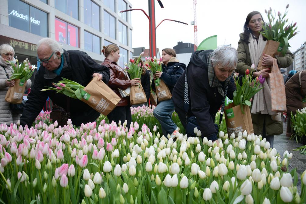 Jong en oud kon duidelijk genieten van de tulpenpracht.