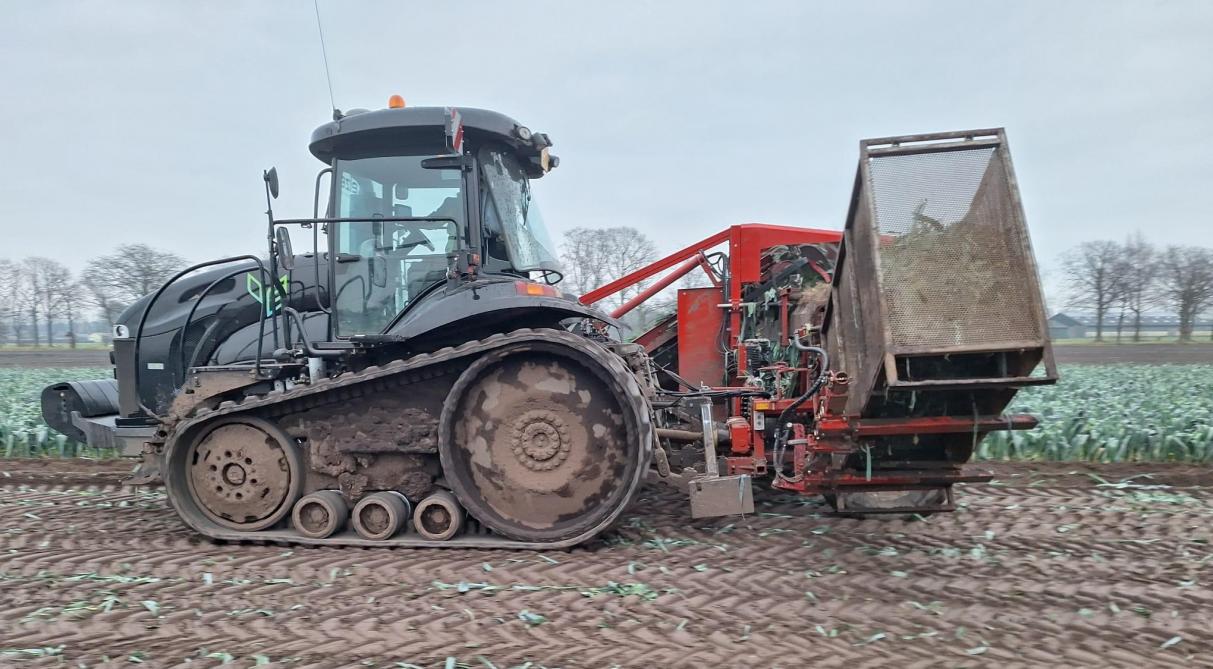 De oogst gebeurt met een Challenger-rupstractor met Asa-Lift-preioogstmachine.