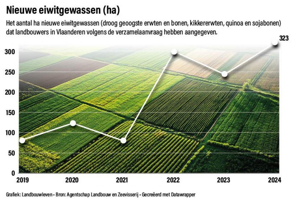 Het aantal ha nieuwe eiwitgewassen (droog geoogste erwten en bonen, kikkererwten, quinoa en sojabonen) dat landbouwers in Vlaanderen volgens de verzamelaanvraag hebben aangegeven.