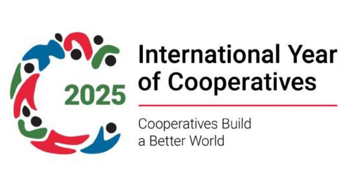 IYC2025 logo liggend