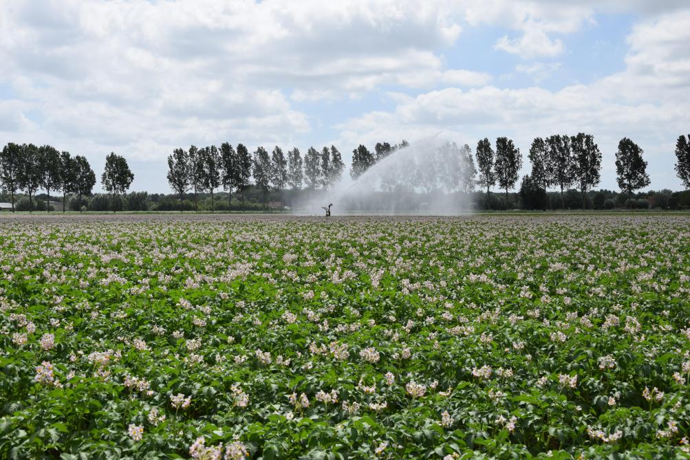 De landbouw kent volgens professor Garré heel wat uitdagingen in verband met water.