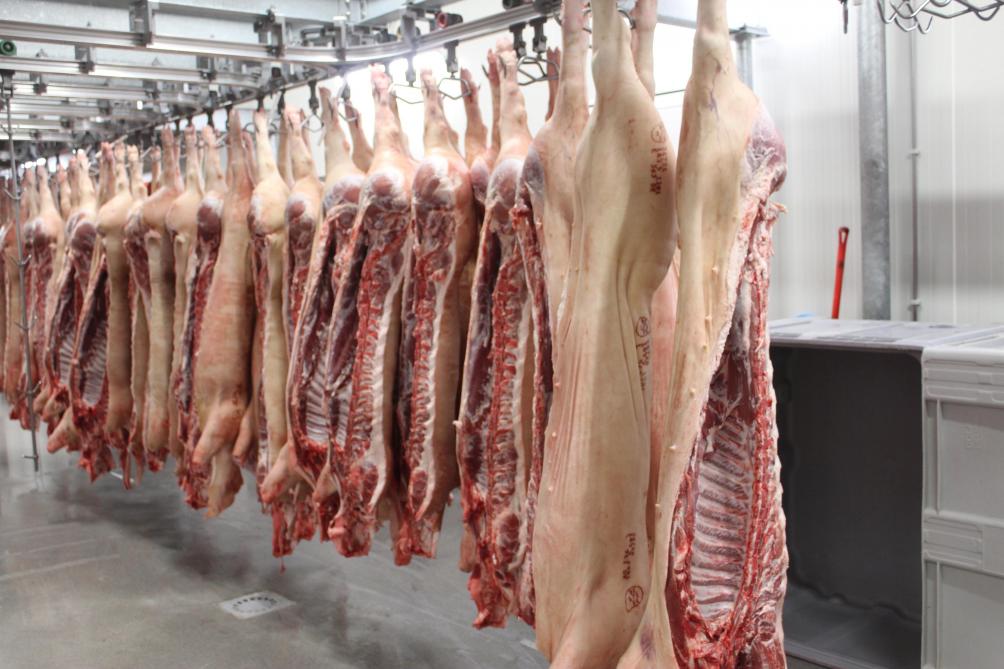 Meer varkens was voor het gemengd bedrijf in Temse niet de beste oplossing, maar zelf versnijden wel.