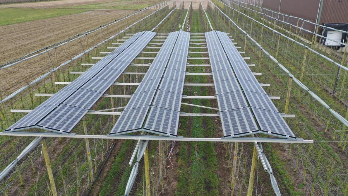 Boerenbond is voor zonnepanelen op landbouwgrond als ze een teelttechnische meerwaarde hebben zoals ter bescherming van peren tegen hagel en zonnebrand.