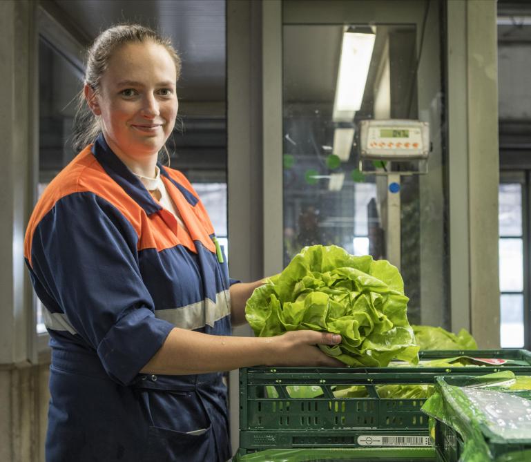 REO telt 750 telers en realiseerde in 2024 een recordomzet in groenten en fruit van 250 miljoen euro.