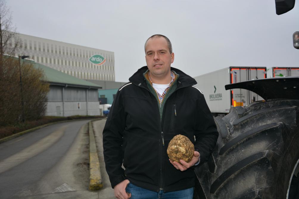 Teler Edward Vercruysse uit Kortrijk levert zijn knolselder op de Ardo-site in Ardooie.