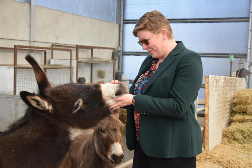 Bij mooi weer gaan Ann en de gasten van de zorgboerderij wandelen met 2 ezels.
