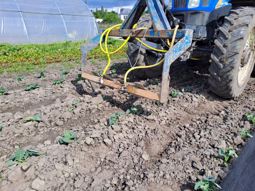 Aaltjes machinaal toepassen kan onder meer per plant via RTK-gps.