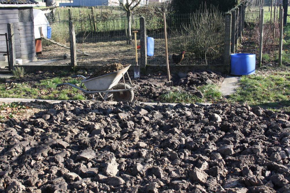 De ultieme vrijheid van de zelfvoorziener is eigen paardenmest onderspitten. De grond wordt er van jaar tot jaar beter van.