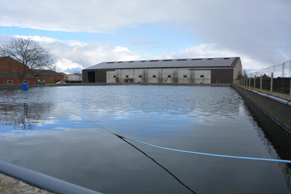 Johan heeft 3 foliebassins voor regenwateropvang, 2 van zo’n 3 miljoen l en nog 1 van 600.000 l.