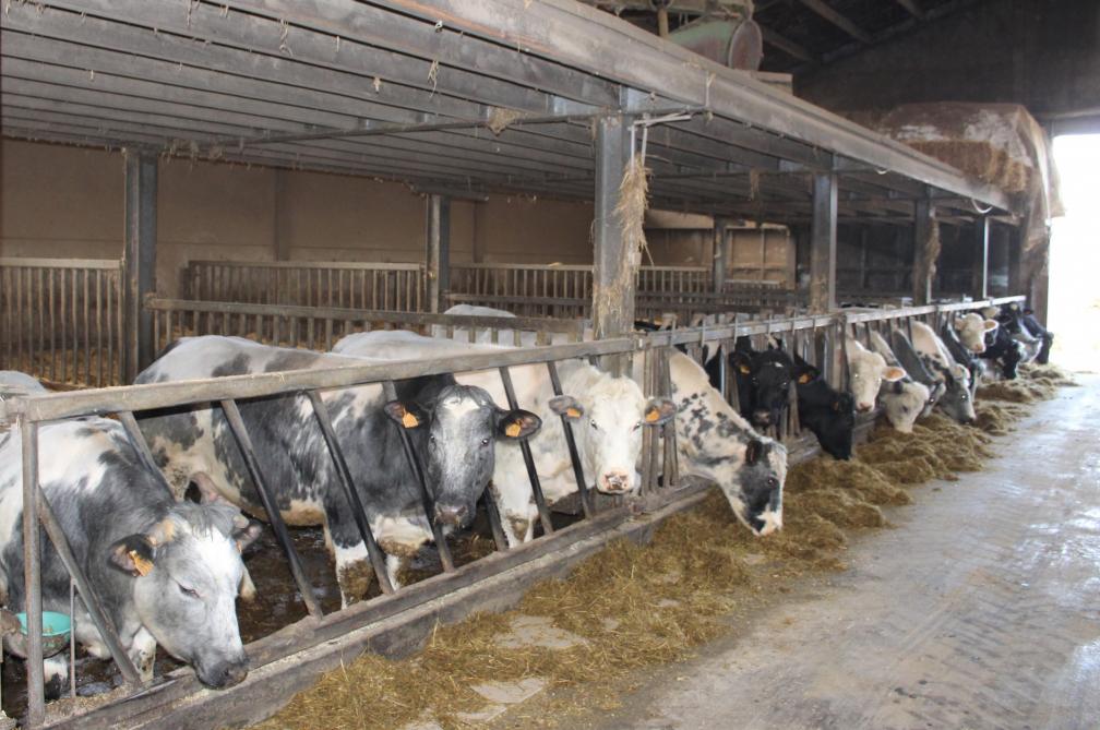 Inzake ziektes wil Frederik vooral nog meer preventief werken.