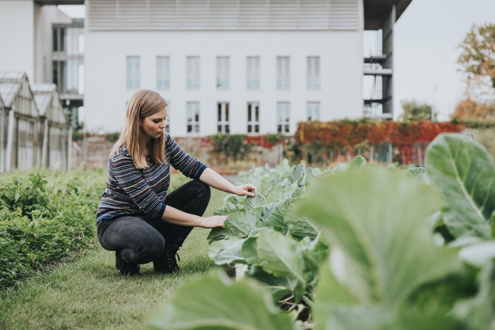 Met het uitstroomprofiel ‘agro-ecologie’ biedt HoGent vanaf volgend academiejaar een unieke specialisatie in Vlaanderen aan.