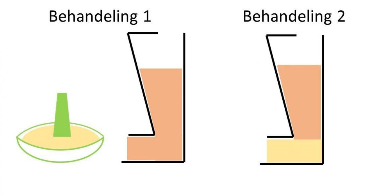 Figuur 1: Behandelingen in het eerste experiment: snoepvoeder aangeboden in biggenkom vs traditionele voederbak. Behandeling 1 (links): snoepvoeder (geel) in de biggenkom die ook werd gebruikt in de kraamstal plus onbeperkt speenvoeder (oranje) in een standaard voederbak. Behandeling 2 (rechts): onbeperkt speenvoeder (oranje) na het eten van vier kilogram snoepvoeder (geel) in een standaard voederbak.