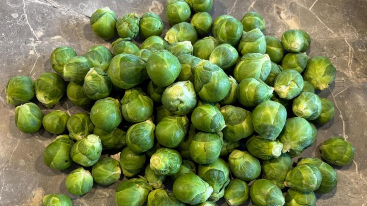 Spruitkool is bij Ingro de tweede grootste teelt, na bloemkool.