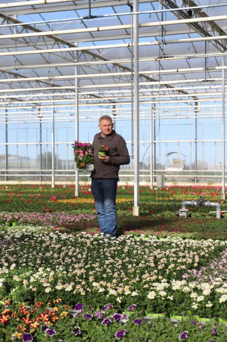Gert is een zelfstandige ondernemer met een bloemenkwekerij.  In zijn vrije tijd is hij trekpaardenfokker.