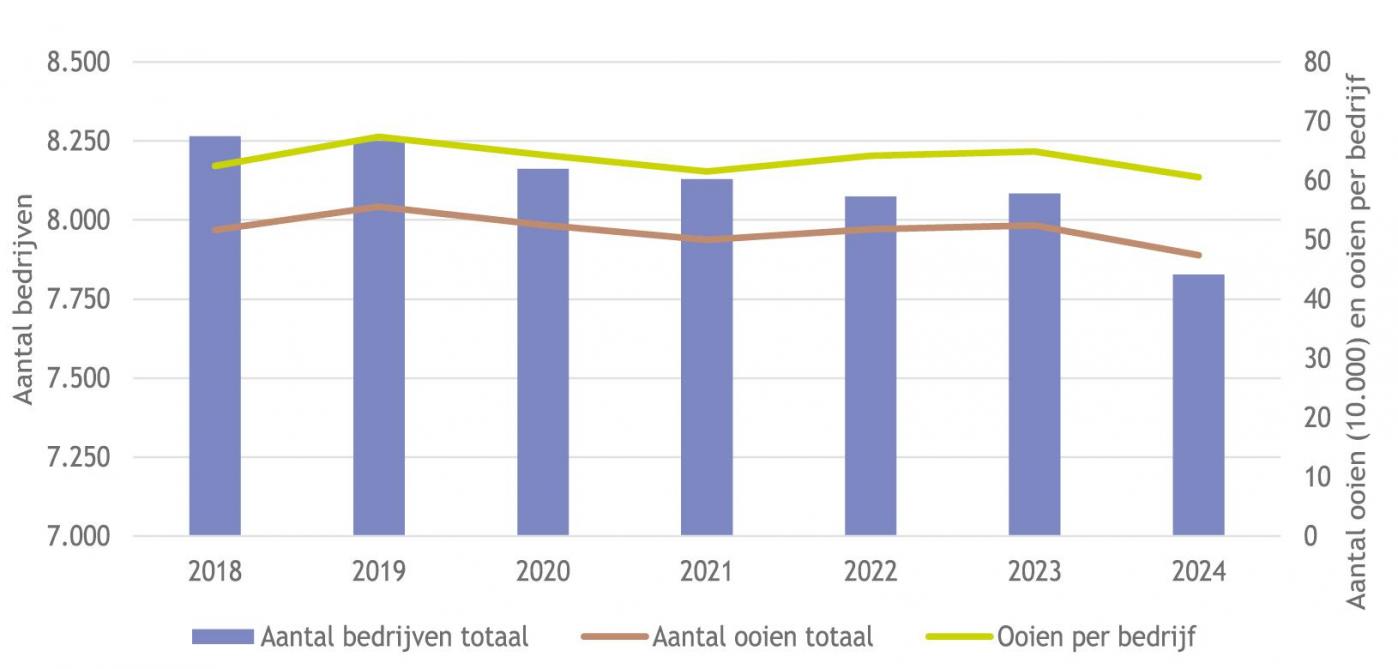 Figuur 1: Aantal bedrijven met schapen, het totaal aantal ooien (vrouwelijke dieren > 7 maanden en ouder) x 10.000 en het aantal ooien per bedrijf.