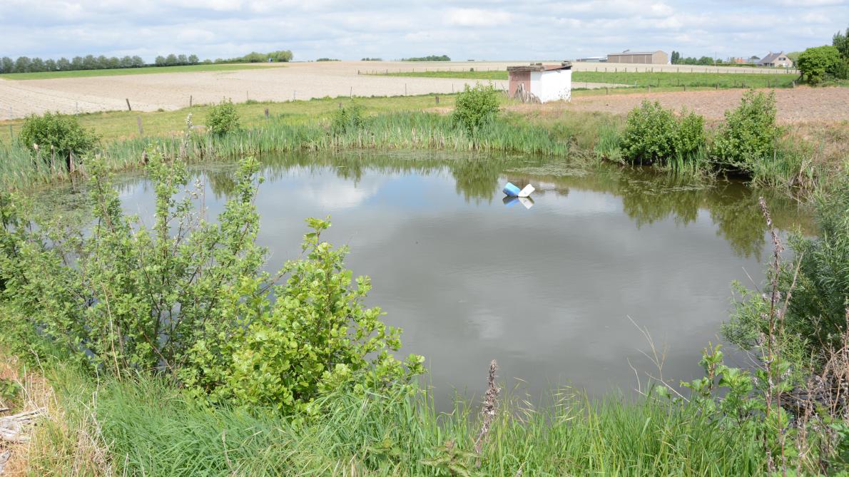 Ivan beschikt over een waterput om zijn groenten te beregenen. Dat is geen onnodige luxe met de huidige droogte.