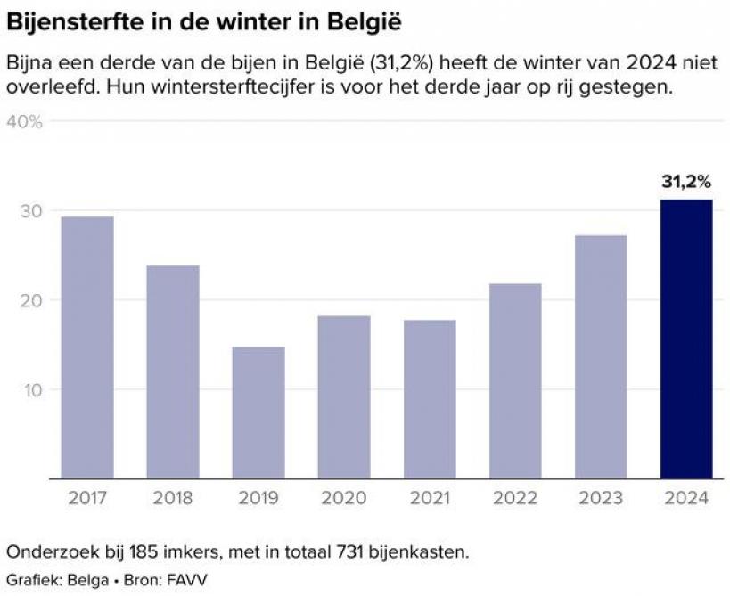 Figuur 1. Bijensterfte in de winter in België