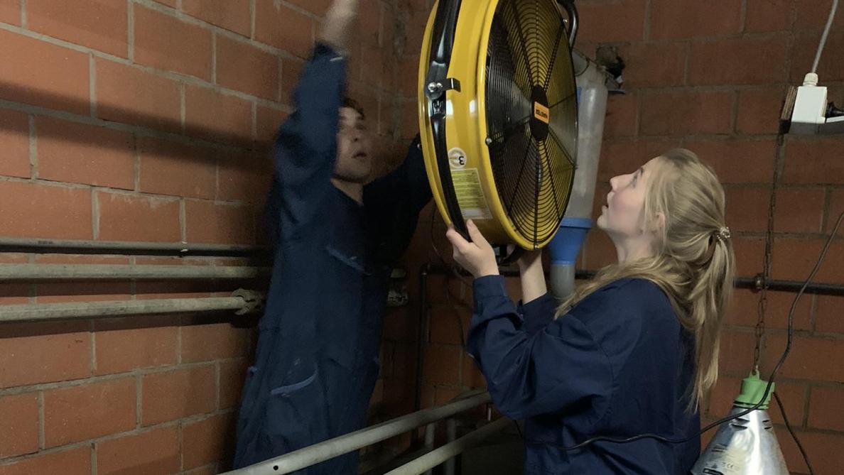 Axiale ventilatoren in de kraamstal als een van de uitgeteste hittestress-reducerende maatregelen.