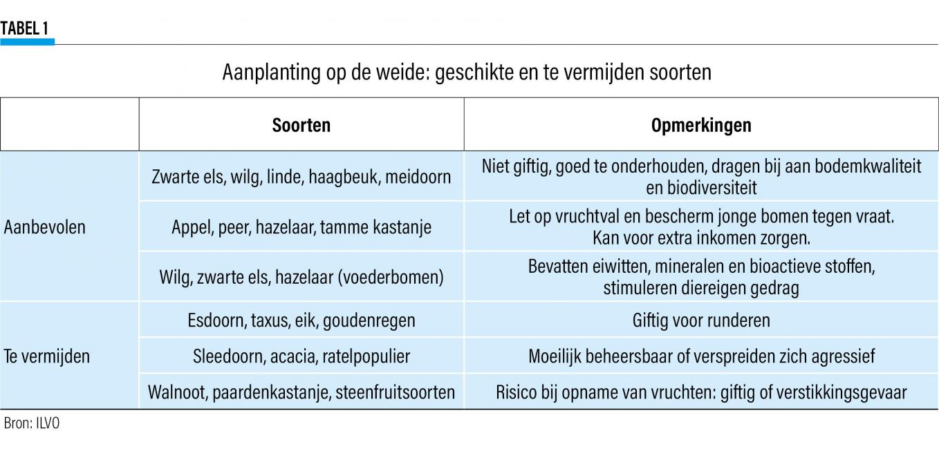 21-3495-AANPLANTING-web