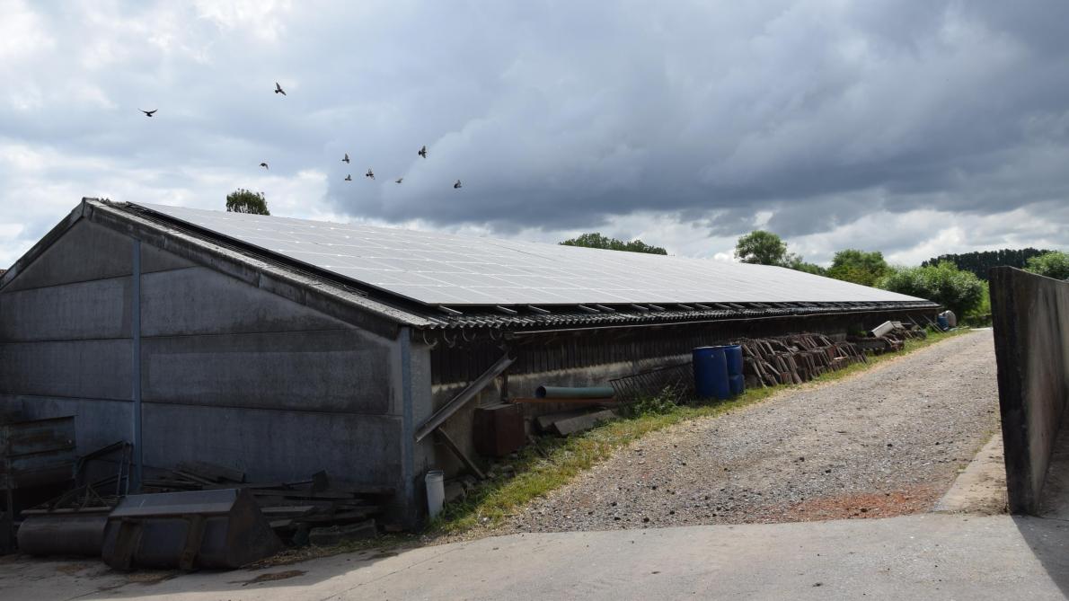 Er liggen 280 zonnepanelen op de stallingen, een realisatie en voordelige samenwerking met Brusol.