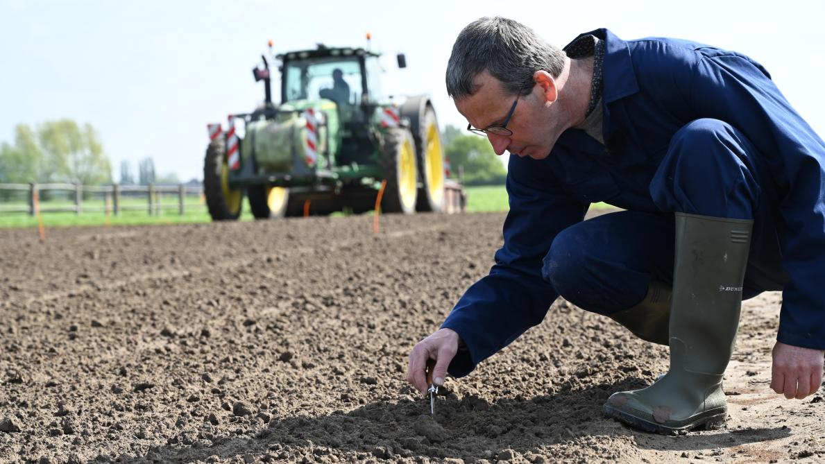 Biologische telers waarderen de praktische en direct toepasbare informatie die via Bio@Inagro wordt gedeeld.