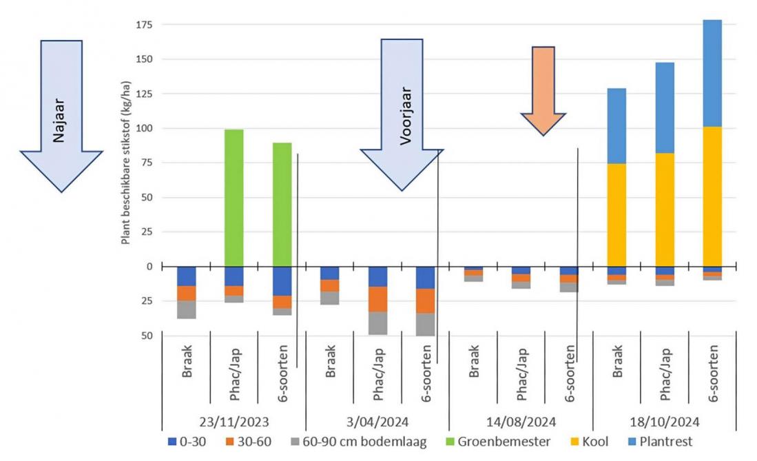 Figuur 1. Visualisatie van de stikstofdynamiek tijdens de proef. De pijlen tonen de bemestingstijdstippen (blauw: basisbemesting, oranje: bijbemesting. De balkjes geven de plantbeschikbare stikstof weer; boven de horizontale as de stikstof in de plantdelen, eronder die in de bodemlagen.