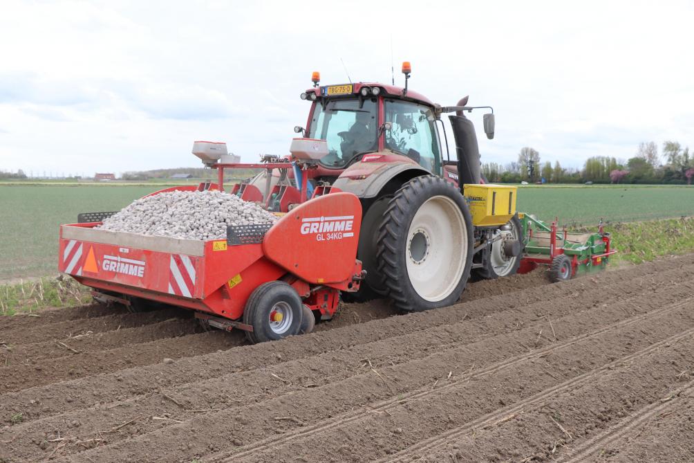 Direct na het interview gaat Michael verder met het planten van de laatste Etana’s op de kopakkers.