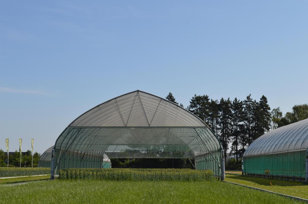 Piotr Serafin liet zich bij het ILVO informeren over het project Hydras, waarbij men onderzoek doet naar droogteresistentie met onder meergrote overkappingen die droogte simuleren.