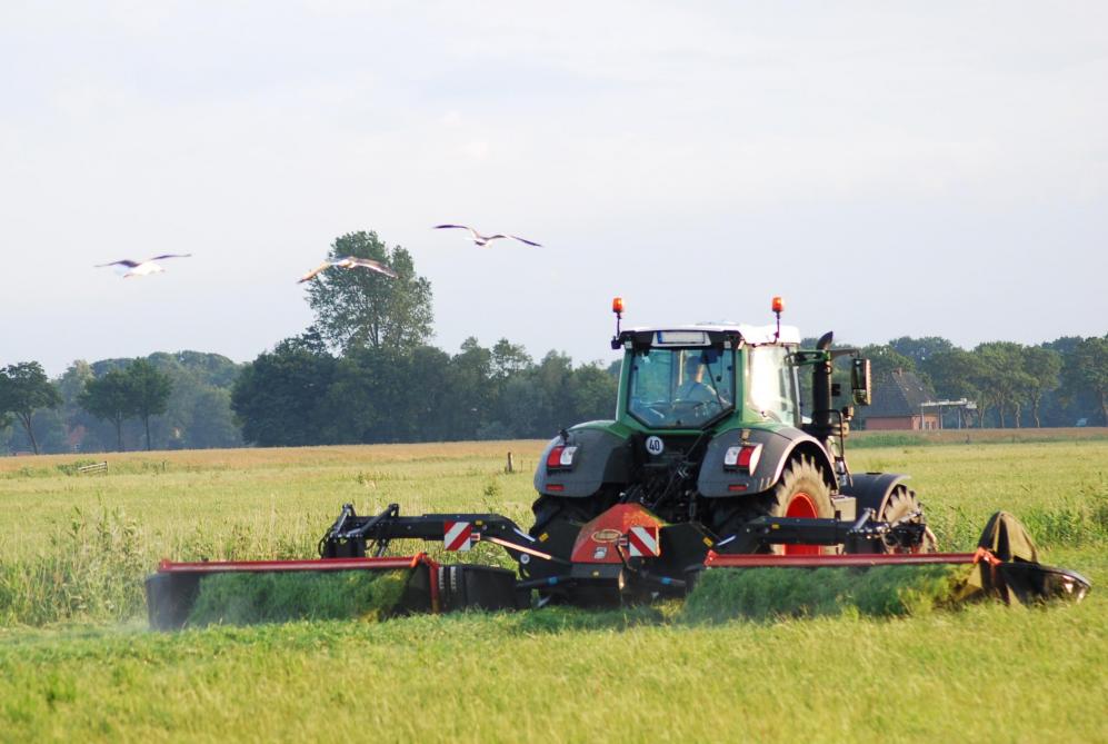 DGZ presenteert na 3 jaar intensief onderzoek op bijna 40 rundveebedrijven de bedrijfsrisicoanalyse FarmFocus.