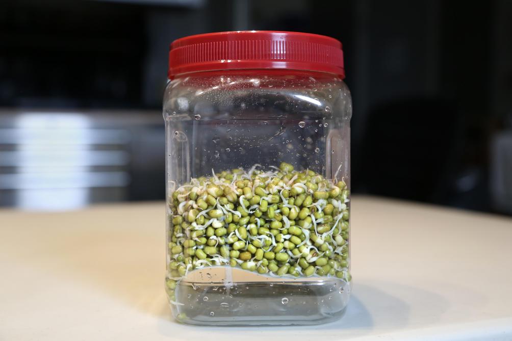 Angelo Vermeulen teelden tijdens de tweede helft van de eerste HI-SEAS missie scheuten in kiempotten uit verpakkingsmateriaal. Mensen waren blij om eindelijk eens vers voedsel te krijgen. Andere kiempotten werden ge-3Dprint.