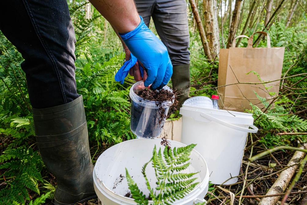De onderzoekers gaan ook na of schimmels, bacteriën en andere organismen PFAS kunnen afbreken.