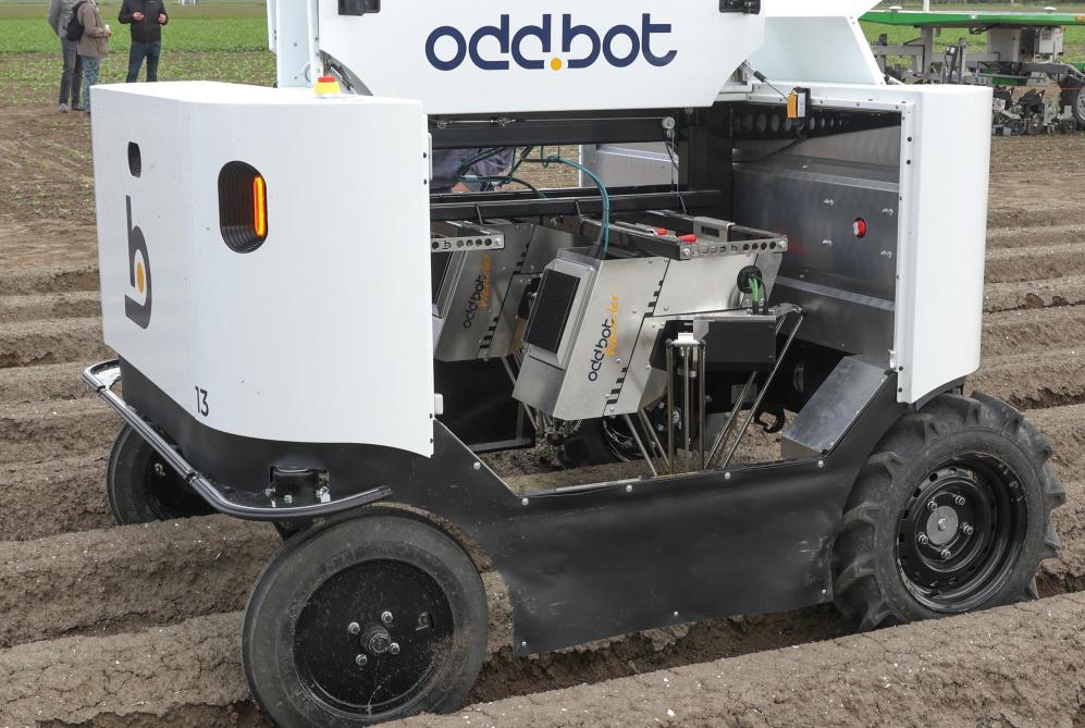 Robots vervangen de handmatige onkruidbestrijding grotendeels.