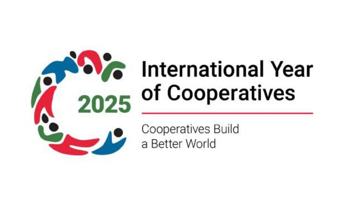 IYC2025 logo liggend