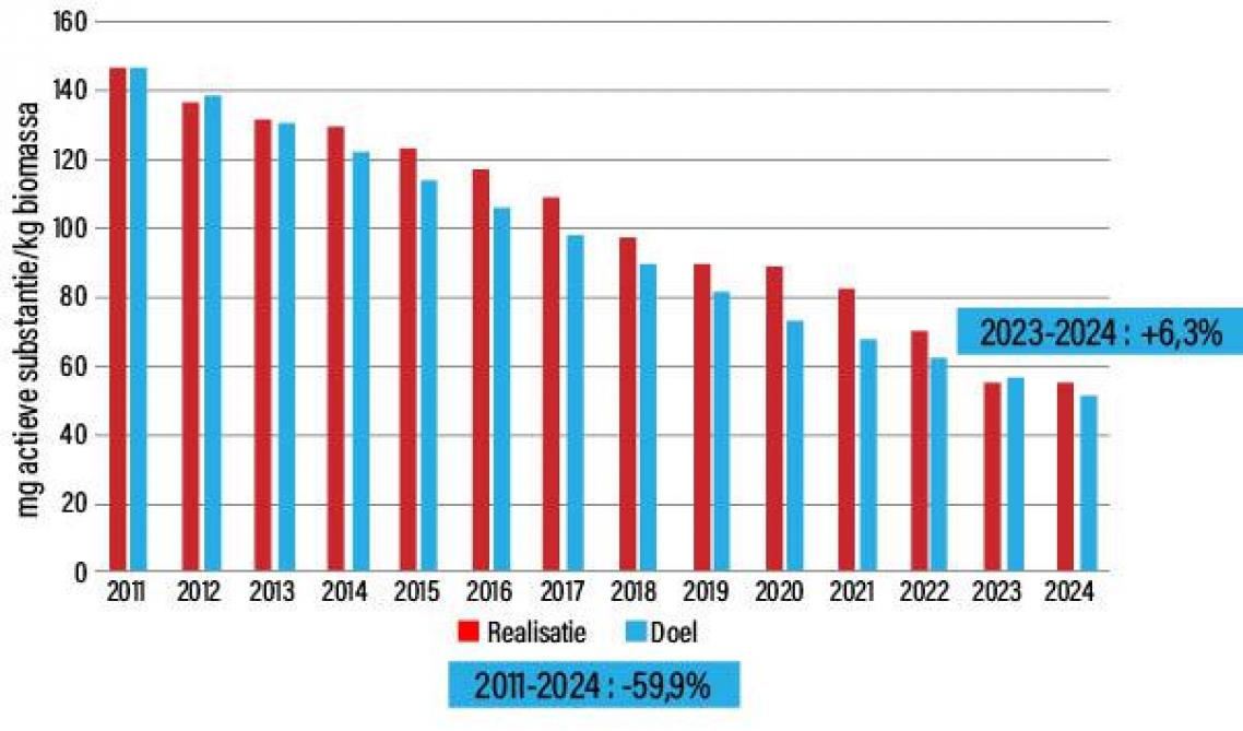 Figuur 1: Door Amcra vooropgesteld jaarlijks reductiepad in de totale verkoop van antibiotica tussen 2011 en 2024 (blauwe balken) en de reële bereikte reductie tussen 2011 en 2024 (rode balken).