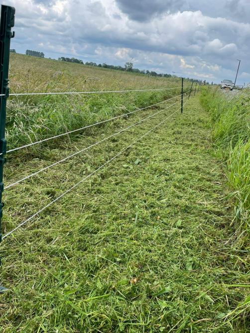 Het vossenraster meet zo’n 13 km en moet de weidevogels beschermen.