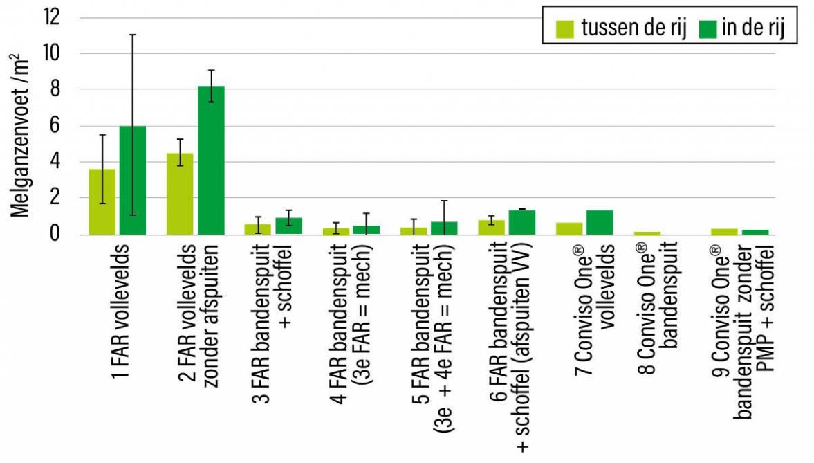 Figuur 2: Aantal melganzenvoetplanten 30 dagen na laatste herbicidebehandeling in geïntegreerde onkruidbestrijdingsproef suikerbieten KBIVB 2023.