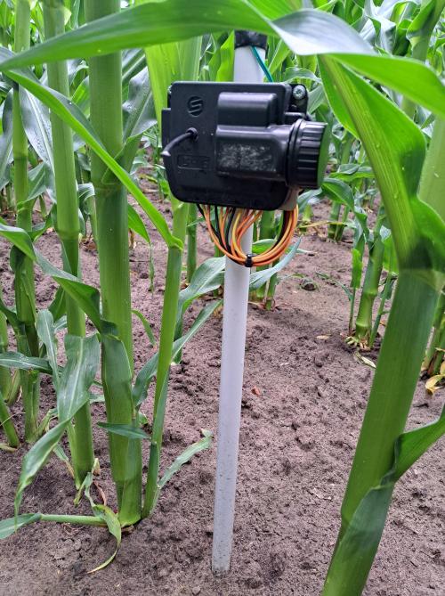 De zuigspanningsensor met IOT-module voor  communicatie in het kader van precisielandbouw.