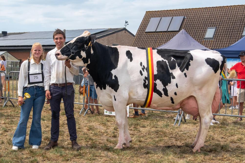 Mojito werd  kampioene bij  de ZB volwassen koeien.